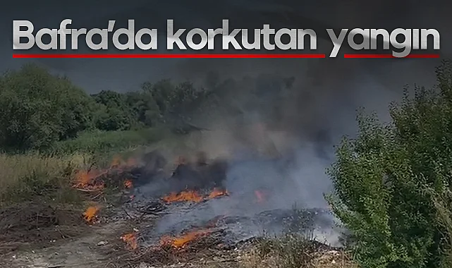 Bafra'da Korkutan Yangın