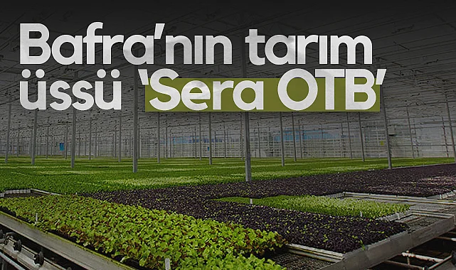 Bafra’nın Tarım Üssü Sera OTB'de Üretim Başladı