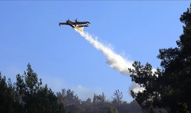 Bilecik ve Bolu’daki Orman Yangınları Kontrol Altına Alındı