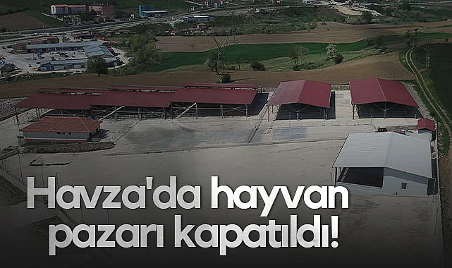 Havza'da Hayvan Pazarı Kapatıldı!