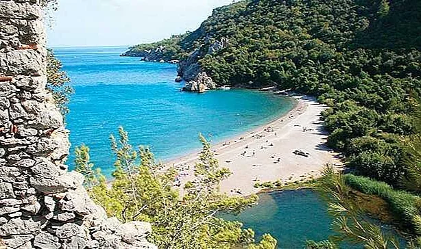Kıyıdaki Ormanlara Turizm Yolu Açıldı: Resmi Gazete’de Yayımlandı