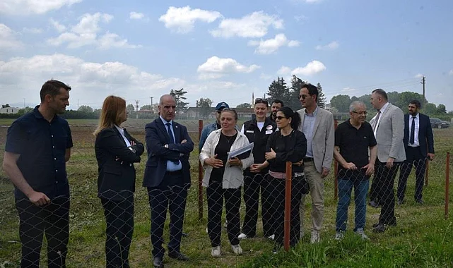 OMÜ'de Yapay Meralarla Yem Verimi 5 Kat Artacak