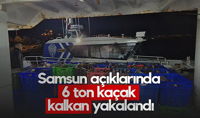 Samsun Açıklarında 6 Ton Kaçak Kalkan Yakalandı