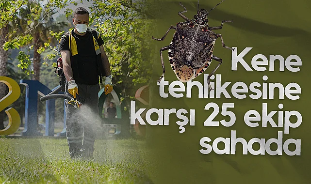 Samsun'da Kene Tehlikesine Karşı 25 Ekip Sahada