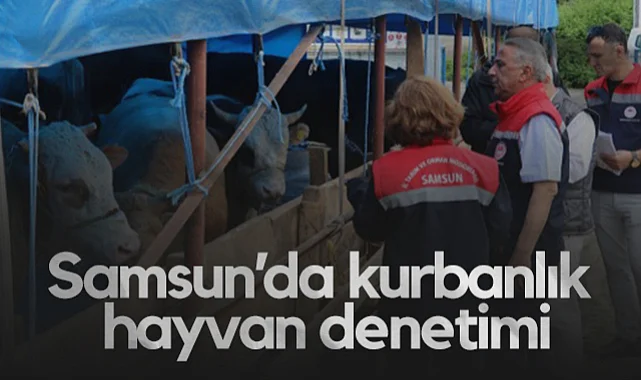 Samsun’da Kurbanlık Hayvan Denetimleri Başladı
