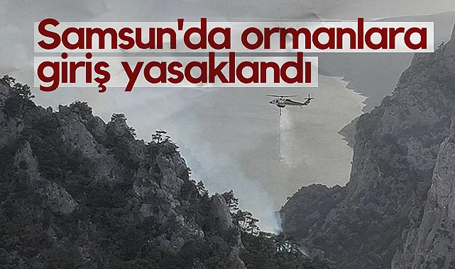 Samsun'da Ormanlara Giriş Yasaklandı: 19 Haziran-30 Ekim Arası Sıkı Tedbir