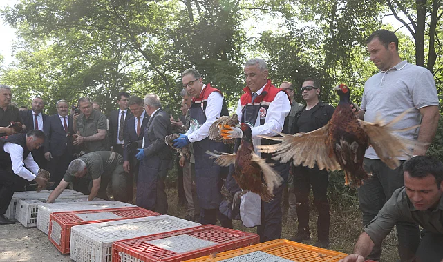 Samsun’da Tarım Seferberliği: Samuray Arısı ve Sülün Doğaya Salındı