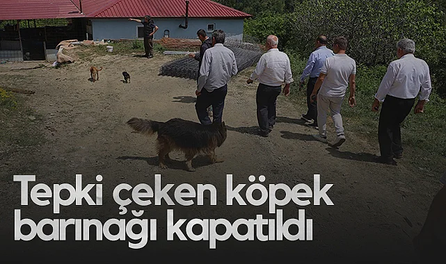 Samsun'da Tartışmalı Köpek Barınağı Mühürlenerek Kapatıldı