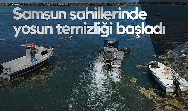 Samsun Körfezi'nde Yosun Temizliği Sürüyor