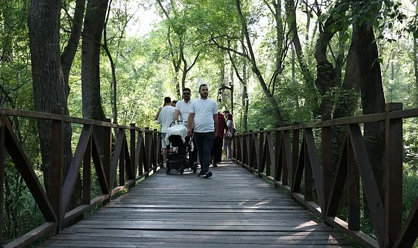 Samsun’un Subasar Ormanları Ziyaretçilerini Büyülüyor