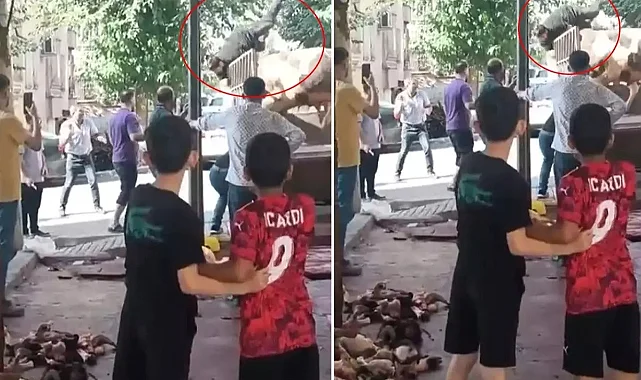 Şanlıurfa’da Boğa Dehşeti: Kasaba Saldırdı
