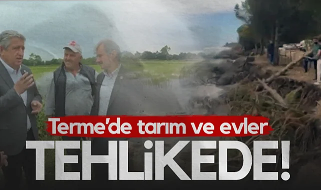 Terme’de Tarım ve Evler Tehlikede!