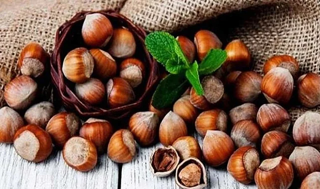 Türkiye’den 126 Bin Ton Fındık İhracatı