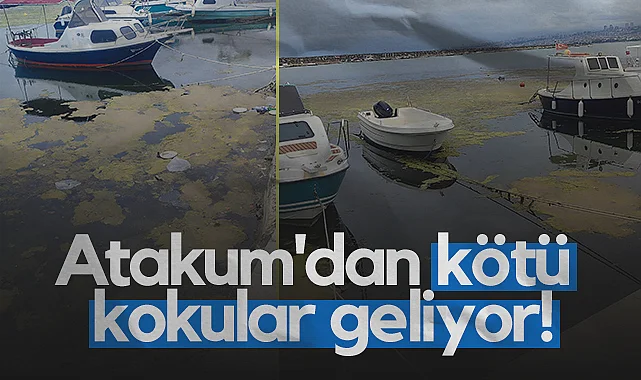 Atakum'da Kirlilik ve Kötü Koku Bezdirdi!