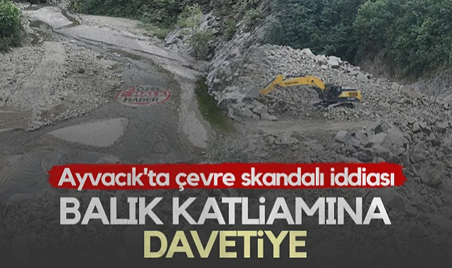 Ayvacık'ta Çevre Skandalı İddiası: Balık Katliamına Davetiye