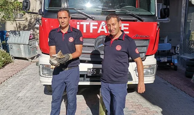Bafra’da Aracın Altına Sıkışan Yavru Kedi Kurtarıldı