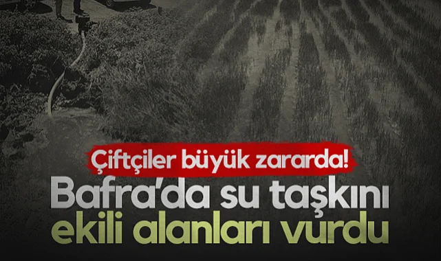 Bafra'da Su Taşkını Ekili Alanları Vurdu: Çiftçiler Büyük Zararda!