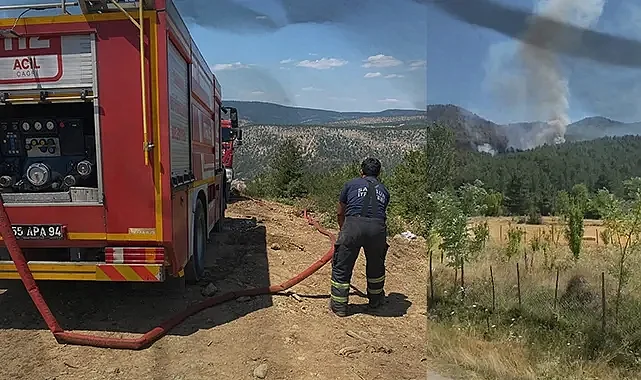 Bafra’dan Karabük’e Destek: İtfaiye Ekipleri Orman Yangınına Müdahale Ediyor