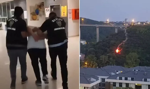 Beykoz Yangınında Şok İtiraf: İneceği Yerde Söner Sandım Diyen Genç Tutuklandı!
