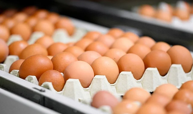 Bu Marka Yumurtalar Geri Çağrıldı! Salmonella Alarmı Verildi