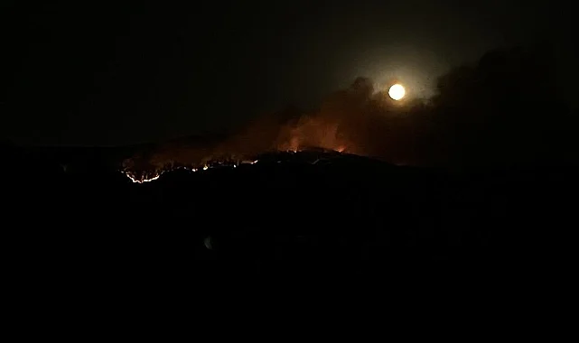 Çankırı’da Orman Yangını: Rüzgar Alevleri Hızla Yaydı