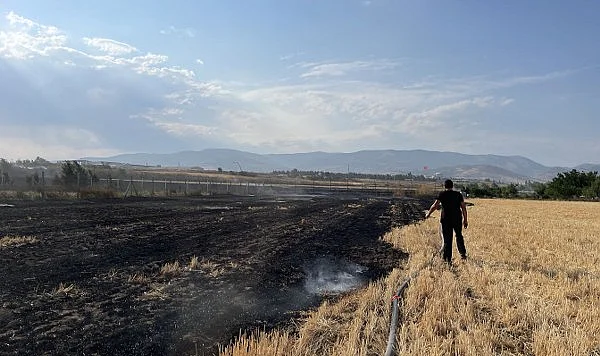 Ceviz Bahçesinde Başlayan Yangın Büyük Zarar Verdi!