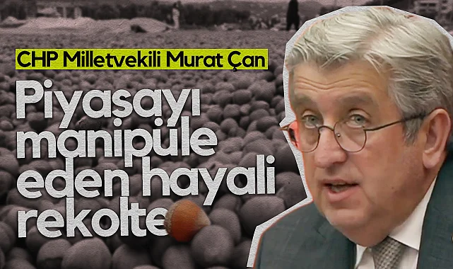 CHP Samsun Milletvekili Murat Çan: Fındık'ta Piyasayı Manipüle Eden Hayali Rekolte