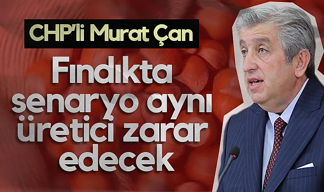 CHP Samsun Milletvekili Murat Çan: Fındıkta Senaryo Aynı, Üretici Zarar Edecek