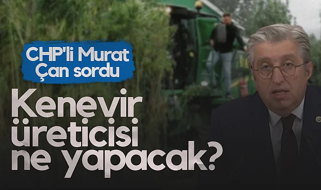CHP Samsun Milletvekili Murat Çan Sordu: Kenevir Üreticisi Ne Yapacak?