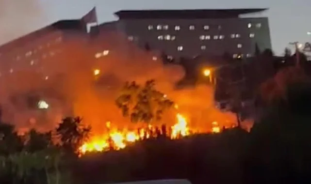 Darıca Millet Bahçesi'nde Yangın Çıktı, Ekipler Müdahale Etti