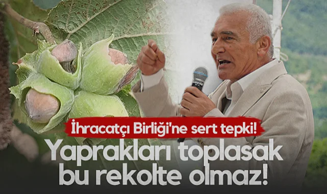 Erdal Avcı'dan İhracatçı Birliği'ne Sert Tepki: Yaprakları Toplasak Bu Rekolte Olmaz!