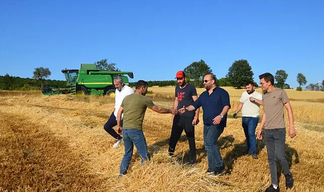 Havza’da Buğday Hasadı Başladı: MHP İlçe Teşkilatı Tarlada
