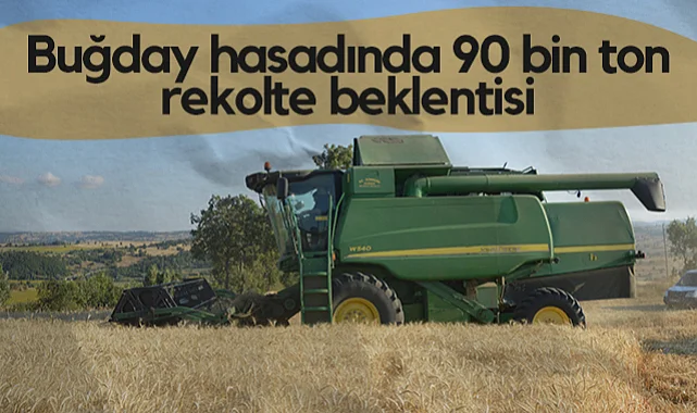 Havza'da Buğday Hasadında 90 Bin Ton Rekolte Beklentisi