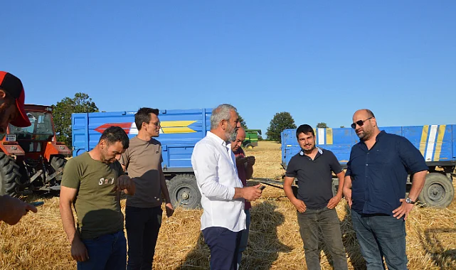 Havza'da Hasat Başladı: MHP’li Yüksel'den Tarlada Çiftçilere Destek Mesajı