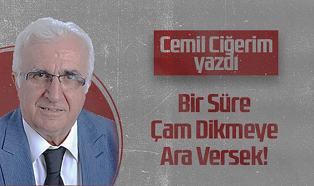 Hedef Halk Gazetesi Köşe Yazarı Cemil Ciğerim: Bir Süre Çam Dikmeye Ara Versek!
