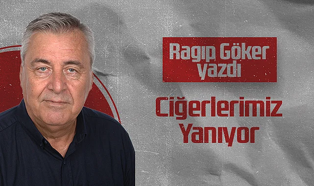 Hedef Halk Gazetesi Köşe Yazarı Ragıp Göker: Ciğerlerimiz Yanıyor