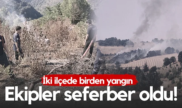 İki İlçede Birden Yangın: Samsun'da Ekipler Seferber Oldu!