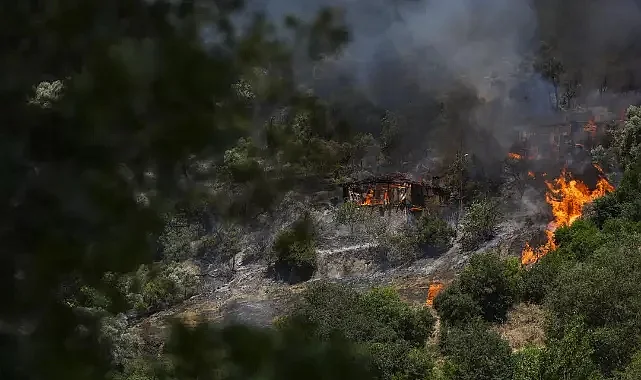 İzmir'deki Yangında Sabotaj İhtimali Var Mı? Vali Elban Açıkladı!