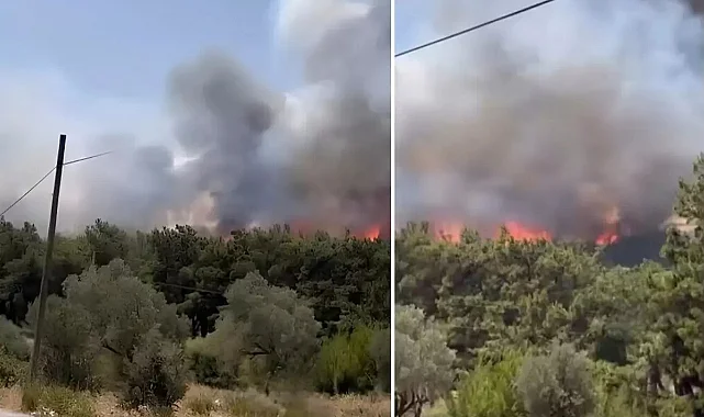 İzmir'e Yangın Sıçradı: Rüzgar Alevleri Büyütüyor!
