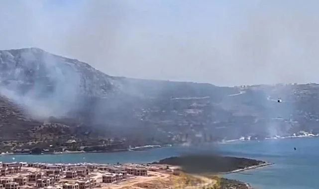 İzmir Mordoğan'da Yangın Çıktı: Ekipler Müdahaleye Başladı