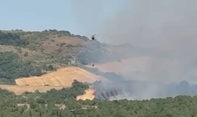 Manyas'ta Orman Yangınına Havadan Müdahale