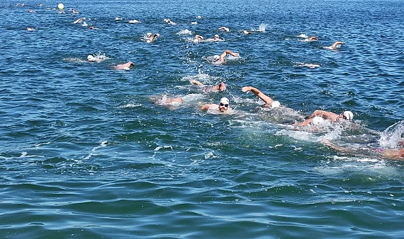 Milli Yüzücüler Terme'de Kulaç Attı: 15 Temmuz'a Özel Yarış