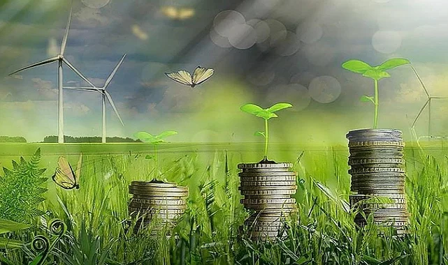 Orta Karadeniz'de Yeşil Dönüşüme 30 Milyon TL Hibe