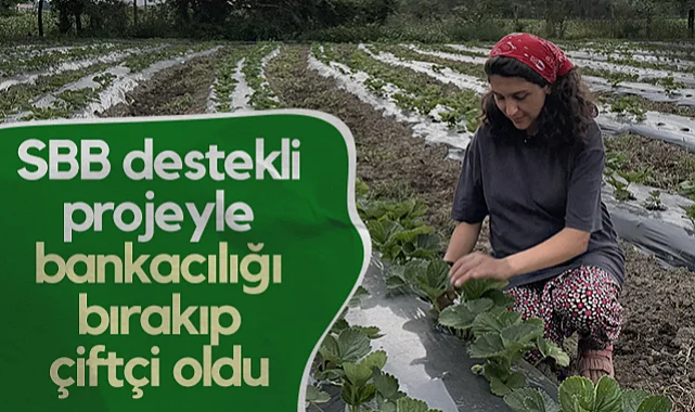 Samsun Büyükşehir Belediyesi Destekli Projeyle Bankacılığı Bırakıp Çiftçi Oldu