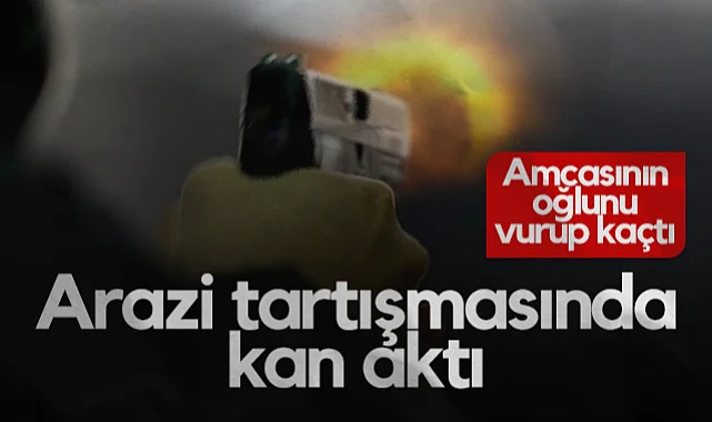 Samsun'da Arazi Tartışmasında Kan Aktı: Emekli Polis Amcasının Oğlunu Öldürüp Kaçtı