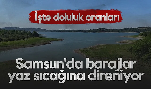 Samsun'da Barajlar Yaz Sıcağına Direniyor: İşte Doluluk Oranları