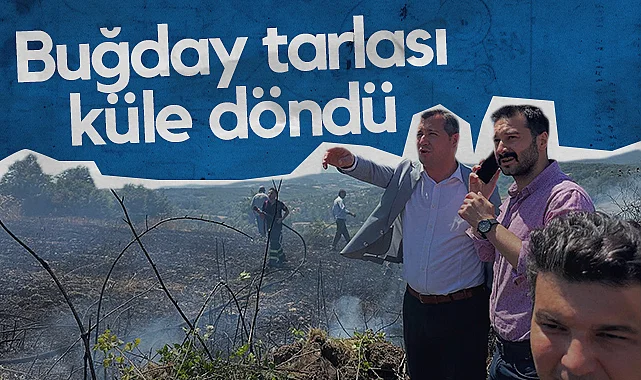 Samsun'da Buğday Tarlası Küle Döndü