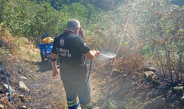 Samsun'da Fındık Bahçesinde Korkutan Yangın