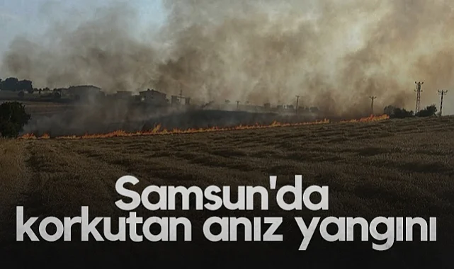 Samsun'da Korkutan Anız Yangını