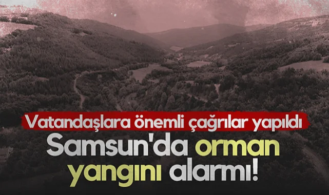 Samsun'da Orman Yangını Alarmı! Vatandaşlara Önemli Çağrılar Yapıldı...